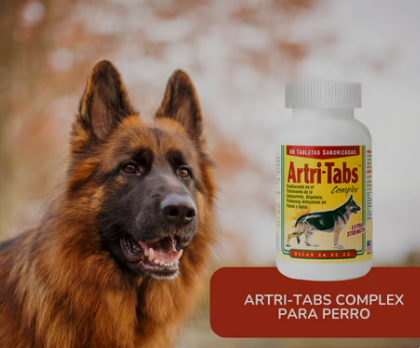 Artri-Tabs 60 tabletas