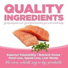 salmon2.webp