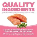 salmon2.webp