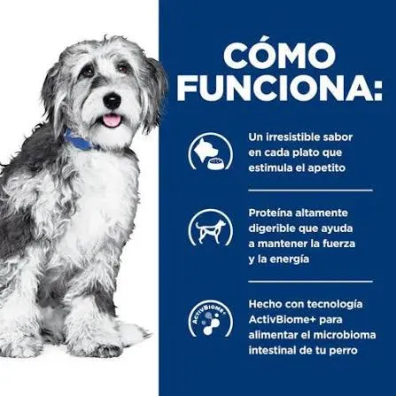 onc perro1.webp