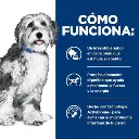 onc perro1.webp