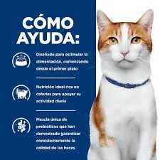 oncfelino2.webp