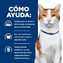 oncfelino2.webp