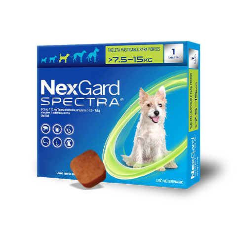 Nexgard Spectra Pastilla Antipulgas para Perros de 7.6-15kg