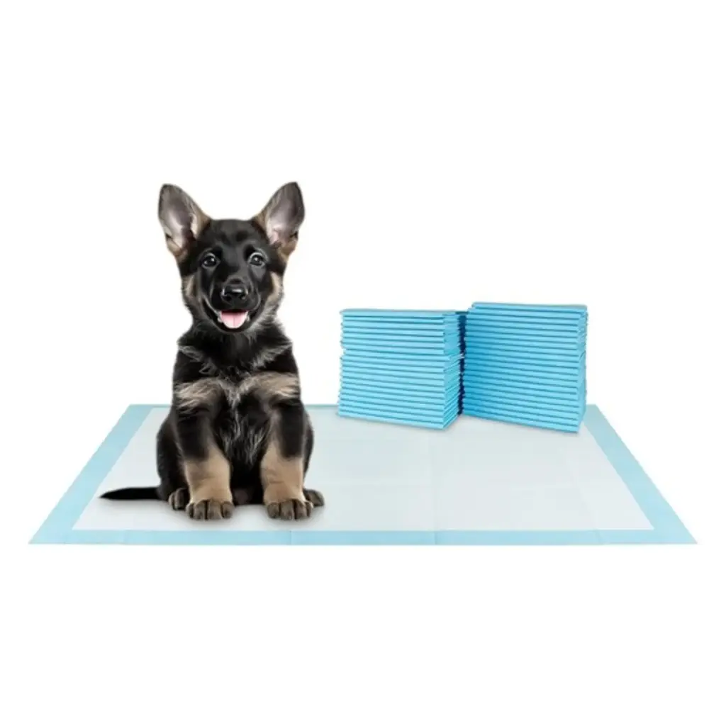 Paquete de pads 50 unidades