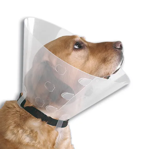 Collar Isabelino (Talla 20)