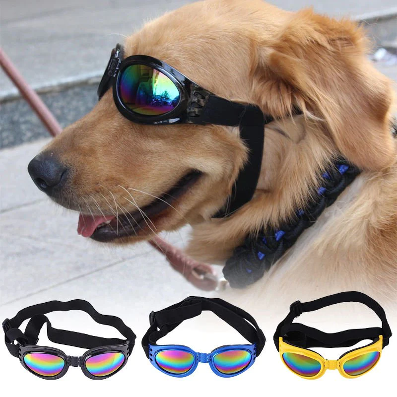 Lentes para Mascotas