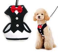 Pecheras Elegantes Talla S