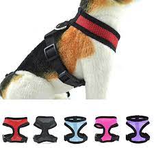 Pechera Perro Pequeño Malla