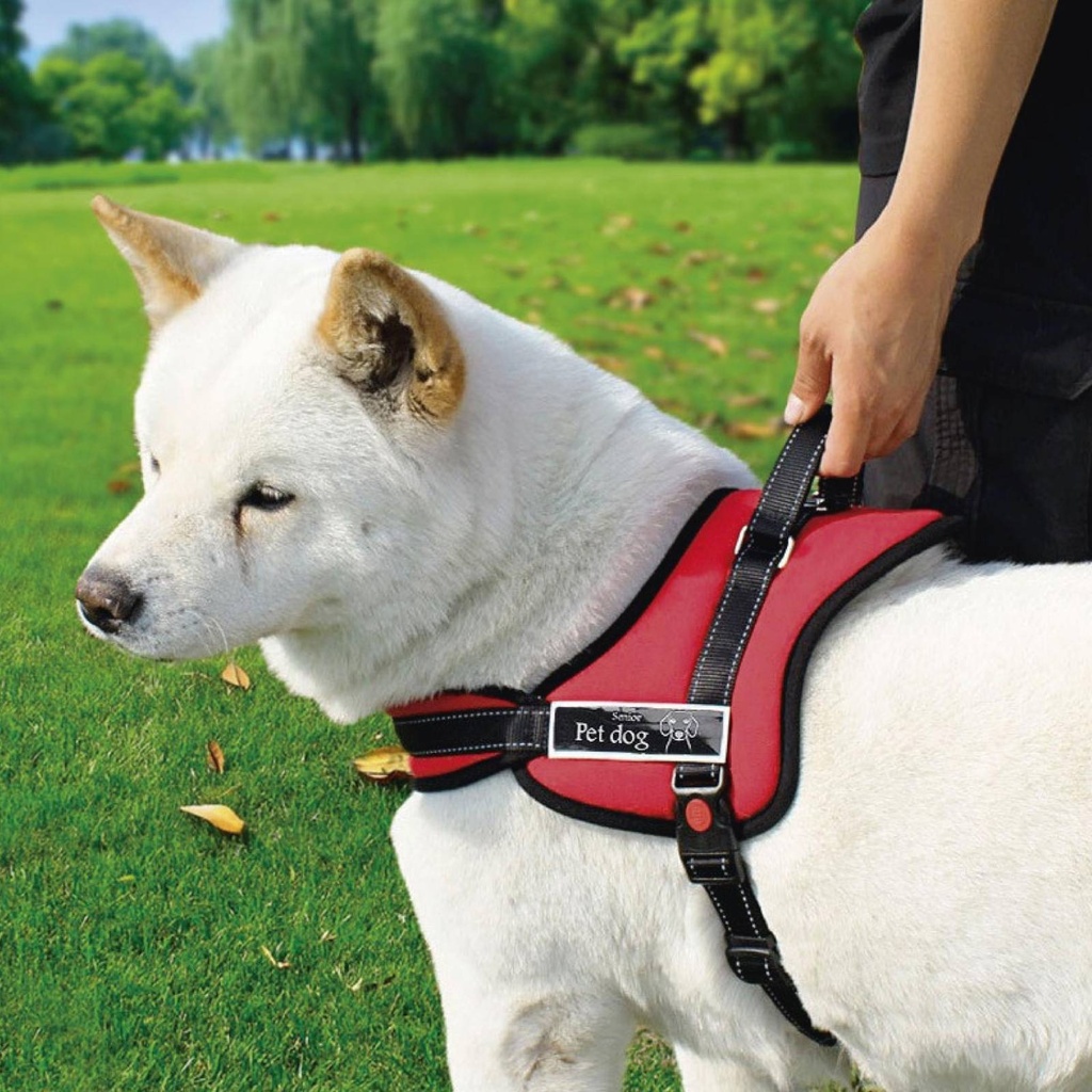 Pechera para perro robusto estilos varios