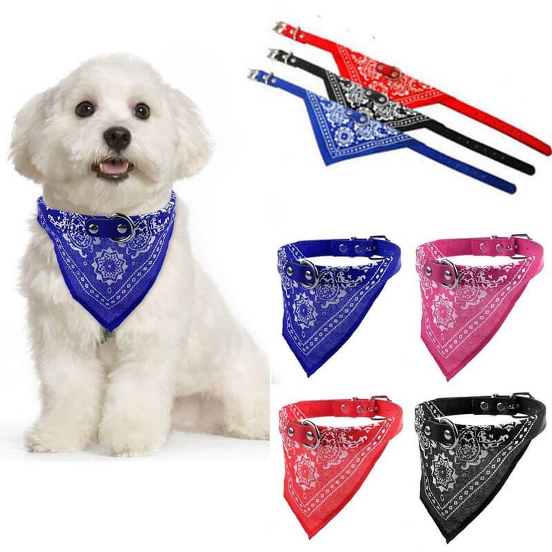 Collar con Pañoleta para Perros Pequeños