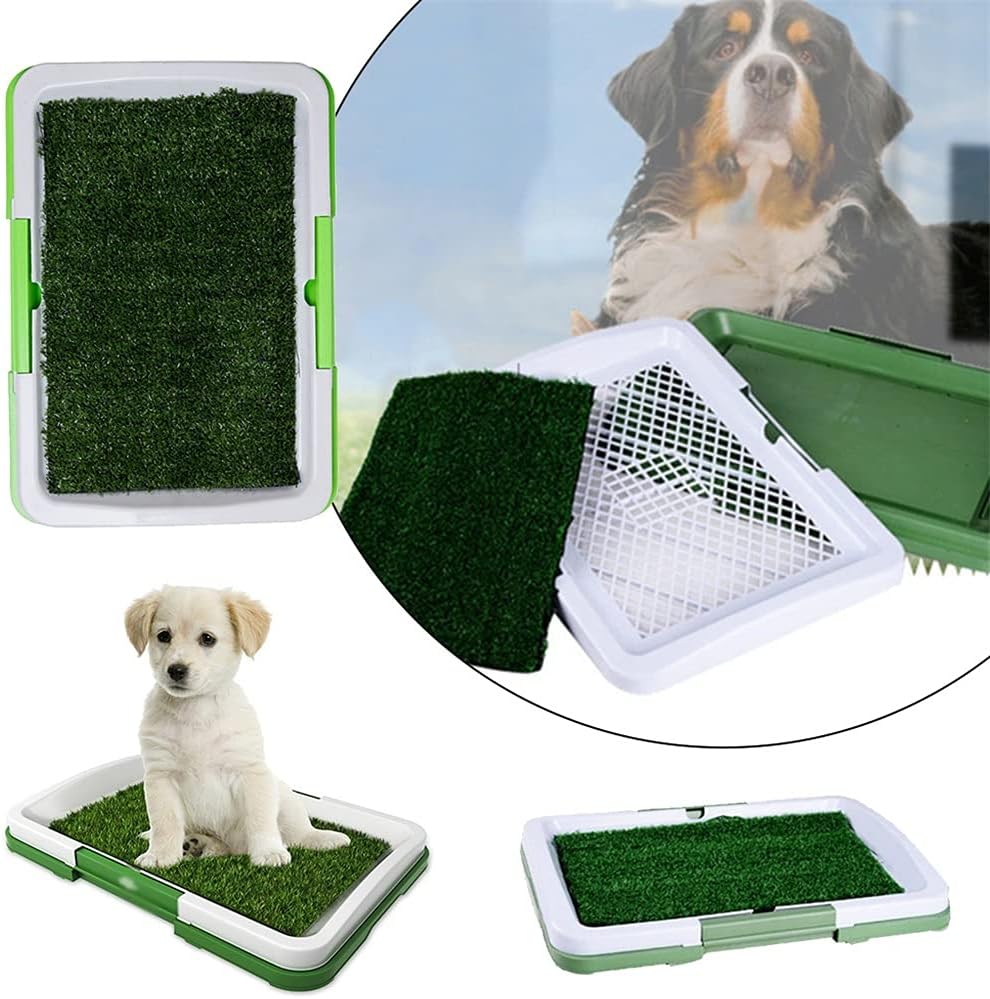 Baño Entrenador Pequeño