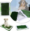 Baño Entrenador Pequeño