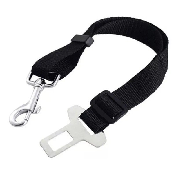 Cinturon de seguridad 