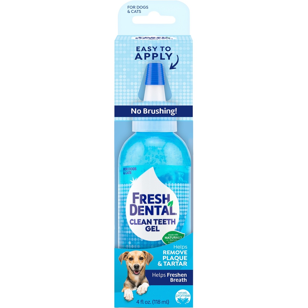 Fresh Dental Clean Teeth Gel