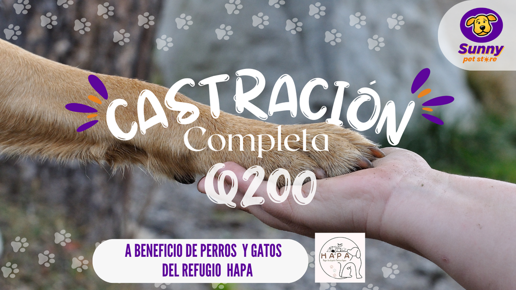 Donación de Castración Completa