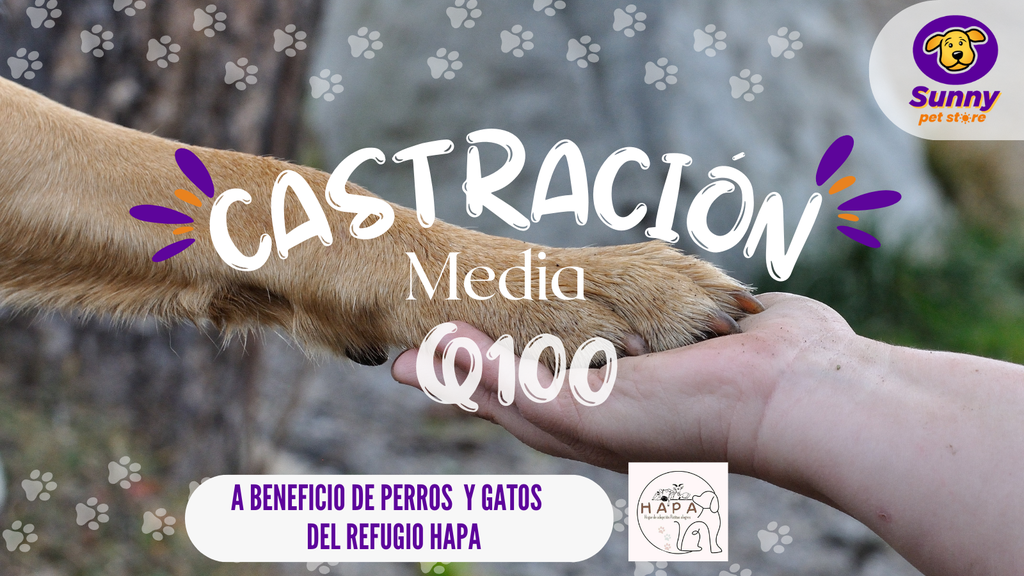 Donación de Castración Media