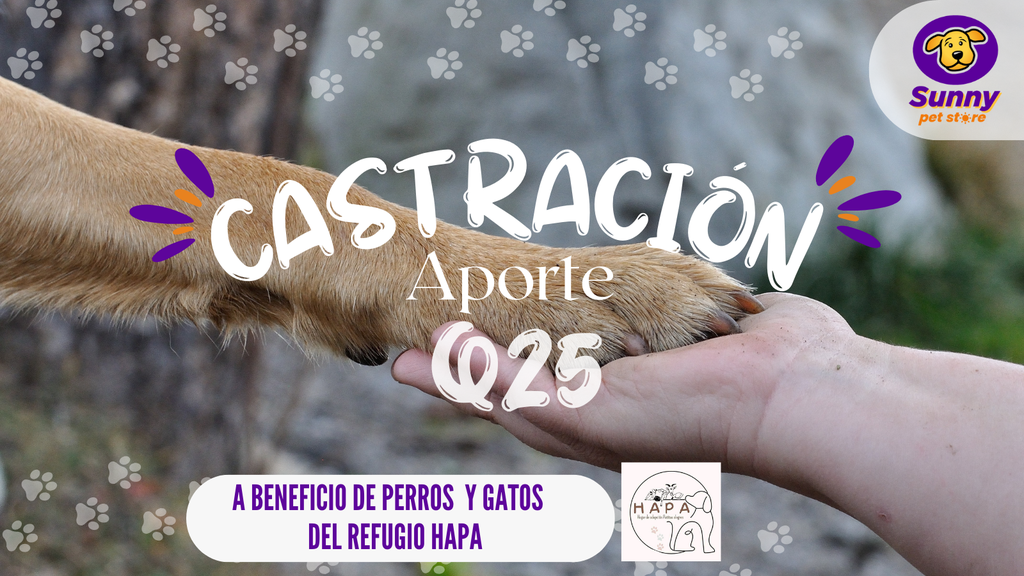 Donación de Castración Aporte