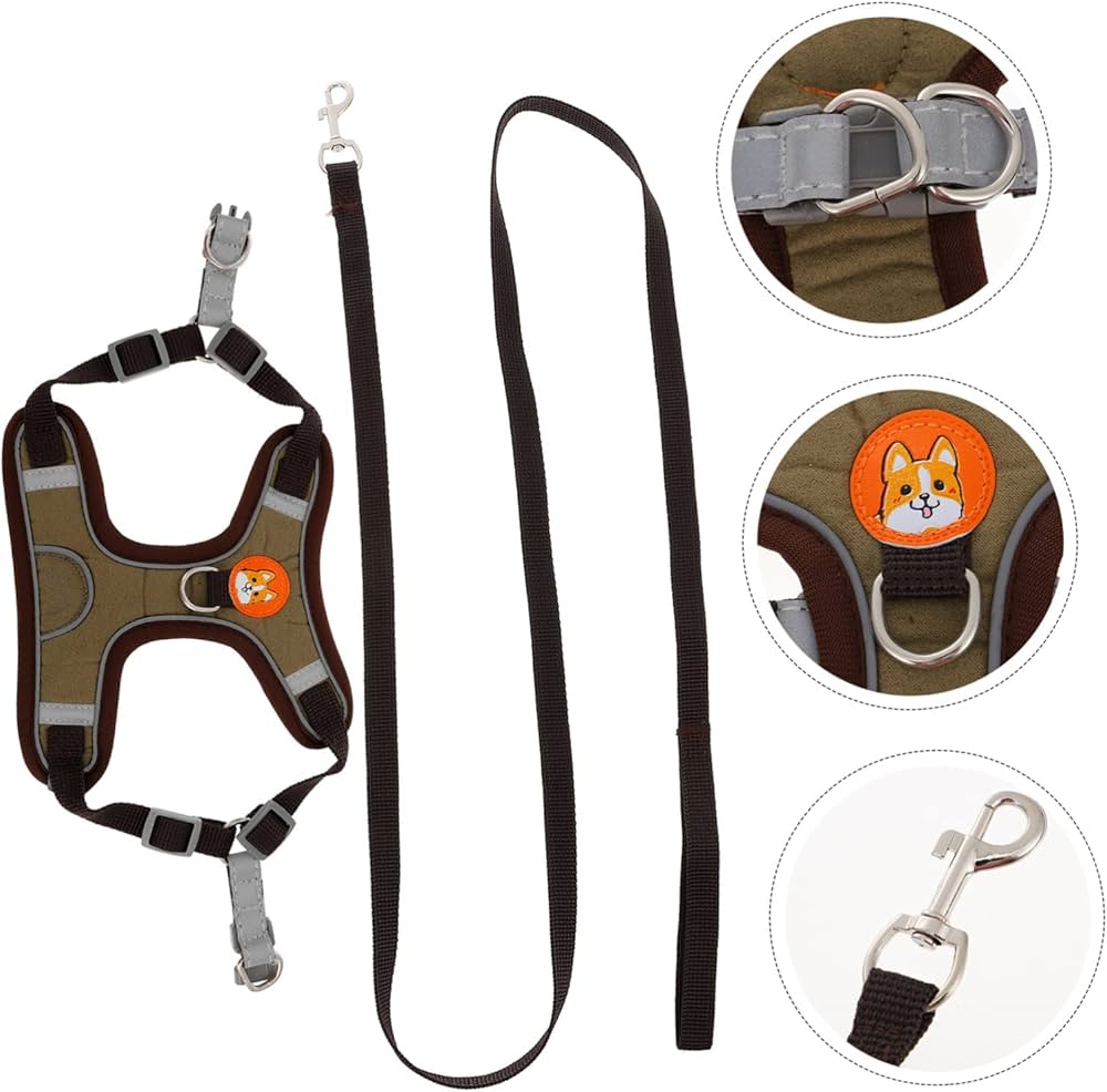 Pechera con correa para perros pequeños