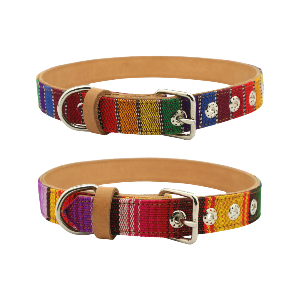Collar Típico para perro