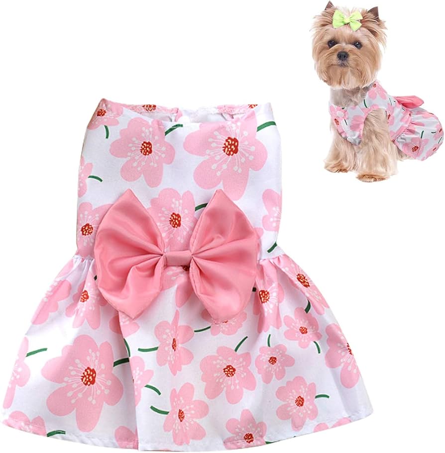 Vestidos para mascotas surtidos