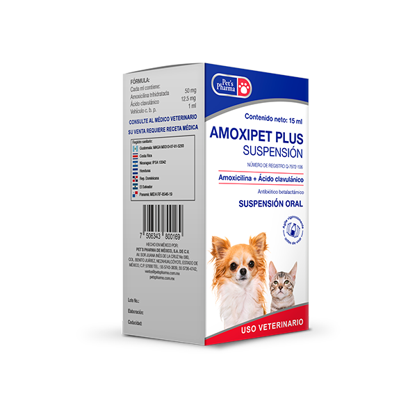 Amoxipet Plus 15ml