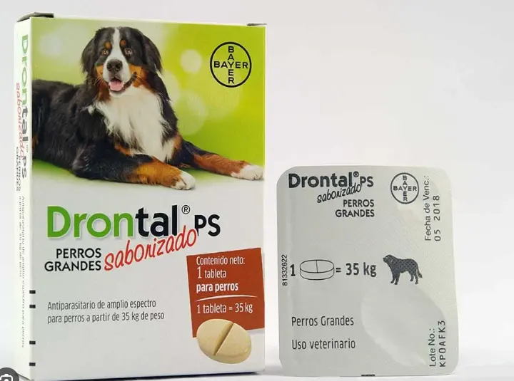 Desparasitante Drontal plus