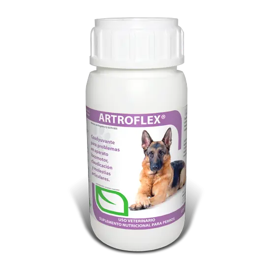 Ruiland Vetri-artroflex coadyuvante para problemas en aparato locomotor