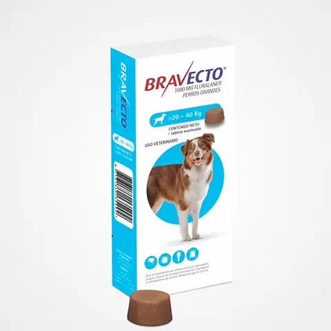 Bravecto pastilla antipulgas para perros de 20-40kg (3 meses de protección)