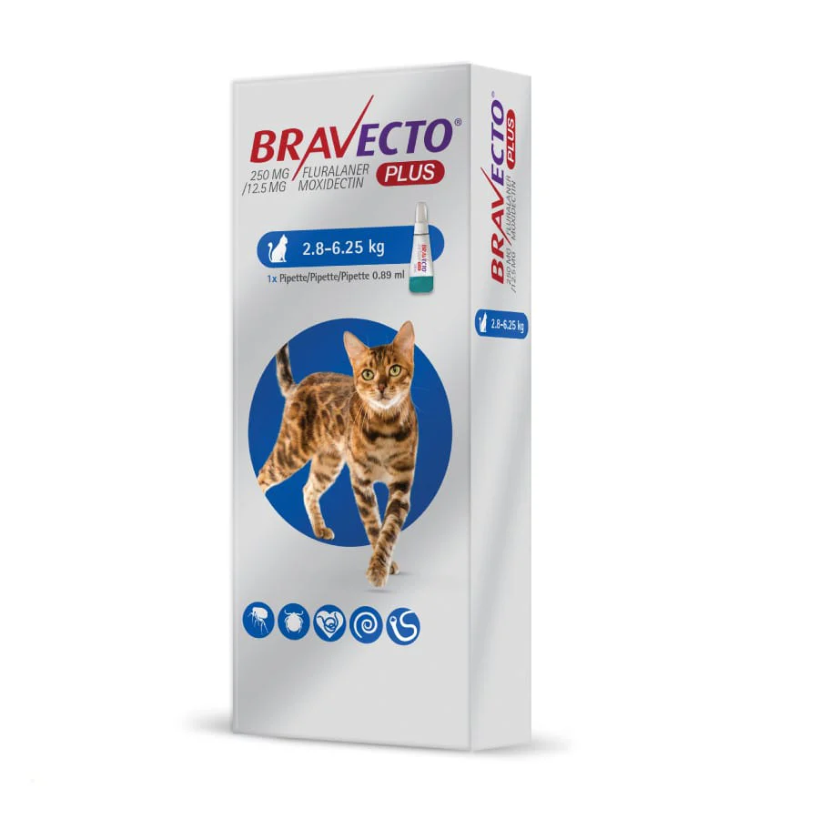 Bravecto pipeta antipulgas para gatos de 2.8-6.25kg