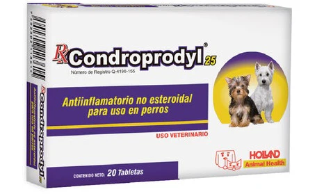 Condroprodyl 25mg, Antiinflamatorio no Esteroideo