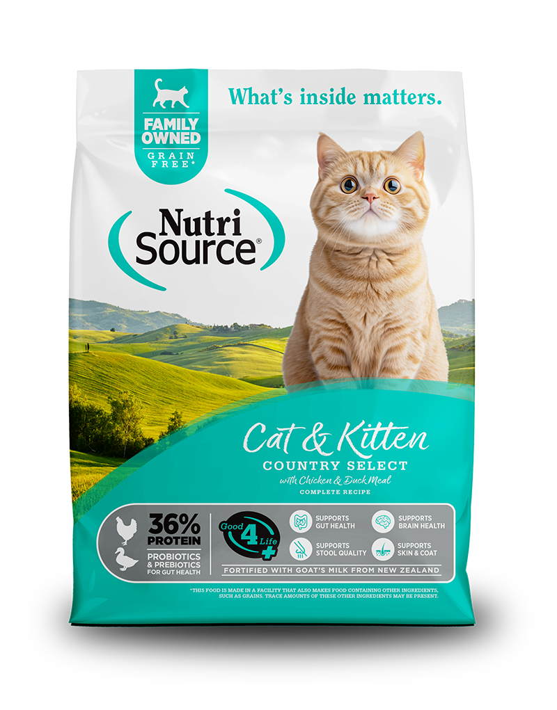 Cat & Kitten Country GF 12LBS