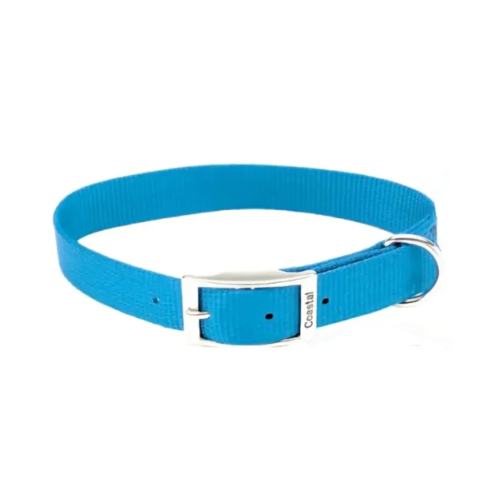Collar Coastal de Hebilla Celeste