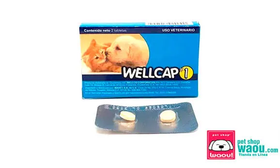 WELLCAP - Desparacitante