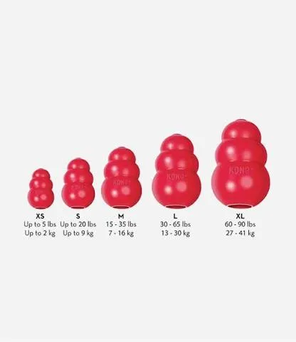 Kong Classic