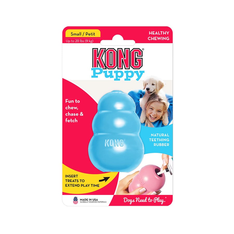 Kong Puppy
