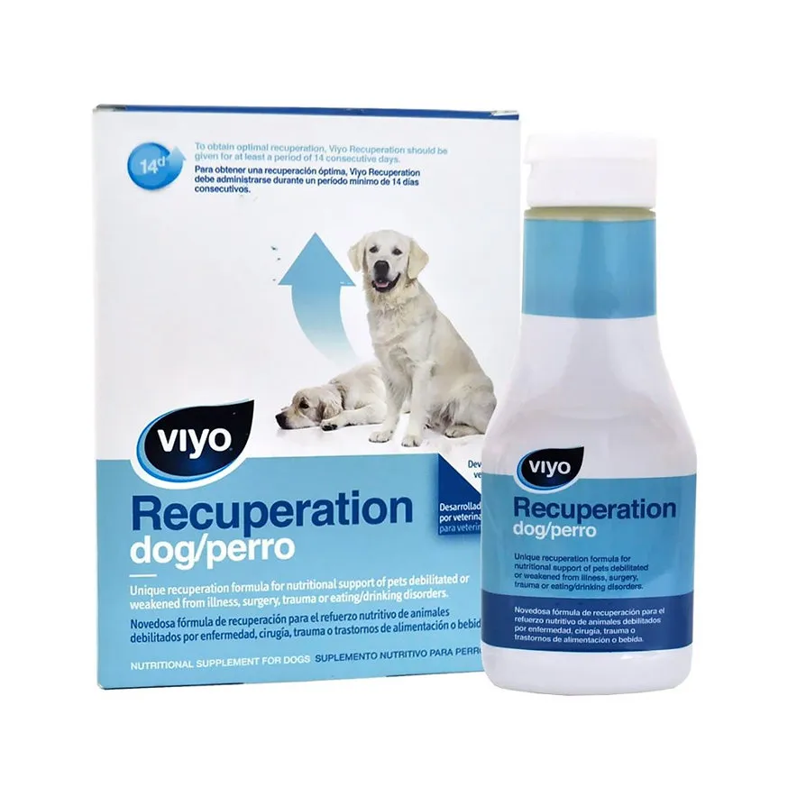 Viyo Recuperación-Perro