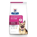 Hill's Prescription Diet Gastrointestinal Biome - Perro
