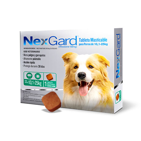 Nexgard Pastilla Antipulgas para Perros de 10-25kg
