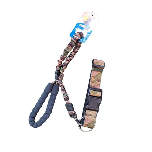Collar con Correa Antitirones