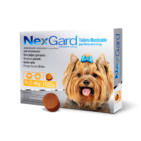 Nexgard Pastilla Antipulgas para Perros de 2-4kg