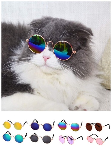 Lentes para Gato