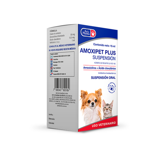 Amoxipet Plus 15ml