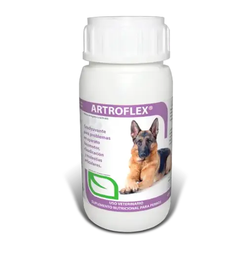 Ruiland Vetri-artroflex coadyuvante para problemas en aparato locomotor